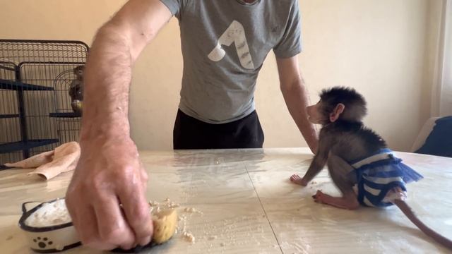 Я ТАК НЕ СМЕЯЛАСЬ наверно никогда! Люська взяла ложку с кашей и пошла в атаку на Влада! смотреть онлайн