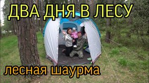ВЕСЕННИЙ ПОХОД. ДВА ДНЯ В ЛЕСУ С ПАЛАТКОЙ. ЧАСТЬ 1. ЛЕСНАЯ ШАУРМА.
