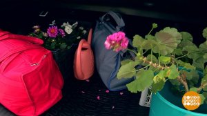 Переезд на дачу: главное - ничего не забыть! Доброе утро. Фрагмент выпуска от 16.05.2024