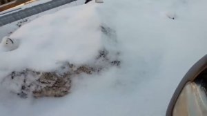 Рено дастер Посторонние звуки под капотом на