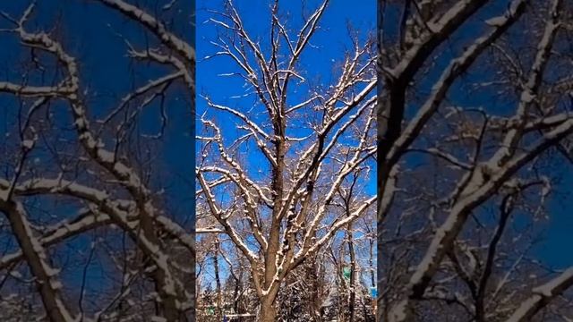 Сквер имени А. Байтурсынова. Памятник Чернобыльцам. Куда пойти в Алматы - 1 Minute Story NS