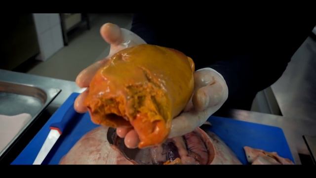 Разделка Черноморского Ската