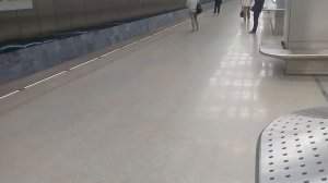 ПОСАДКИ НЕТ|НОВОПЕРЕДЕЛКИНО(8А)/24.05.19