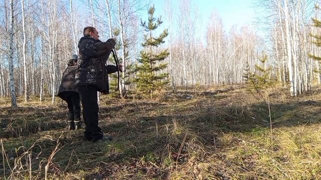 Прогулка в лес . Плинк на лесной дороге .? смотреть онлайн