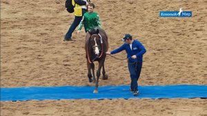 Конный Мир / Мистера Чаки Предписанный Путь