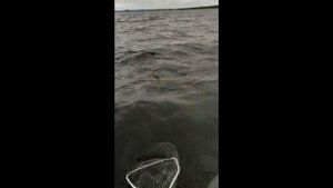 Рыбалка на оз. Верхнее Куйто. Северная Карелия. Сентябрь. Часть 2