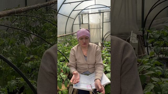 2 мая 2023 г. смотреть онлайн