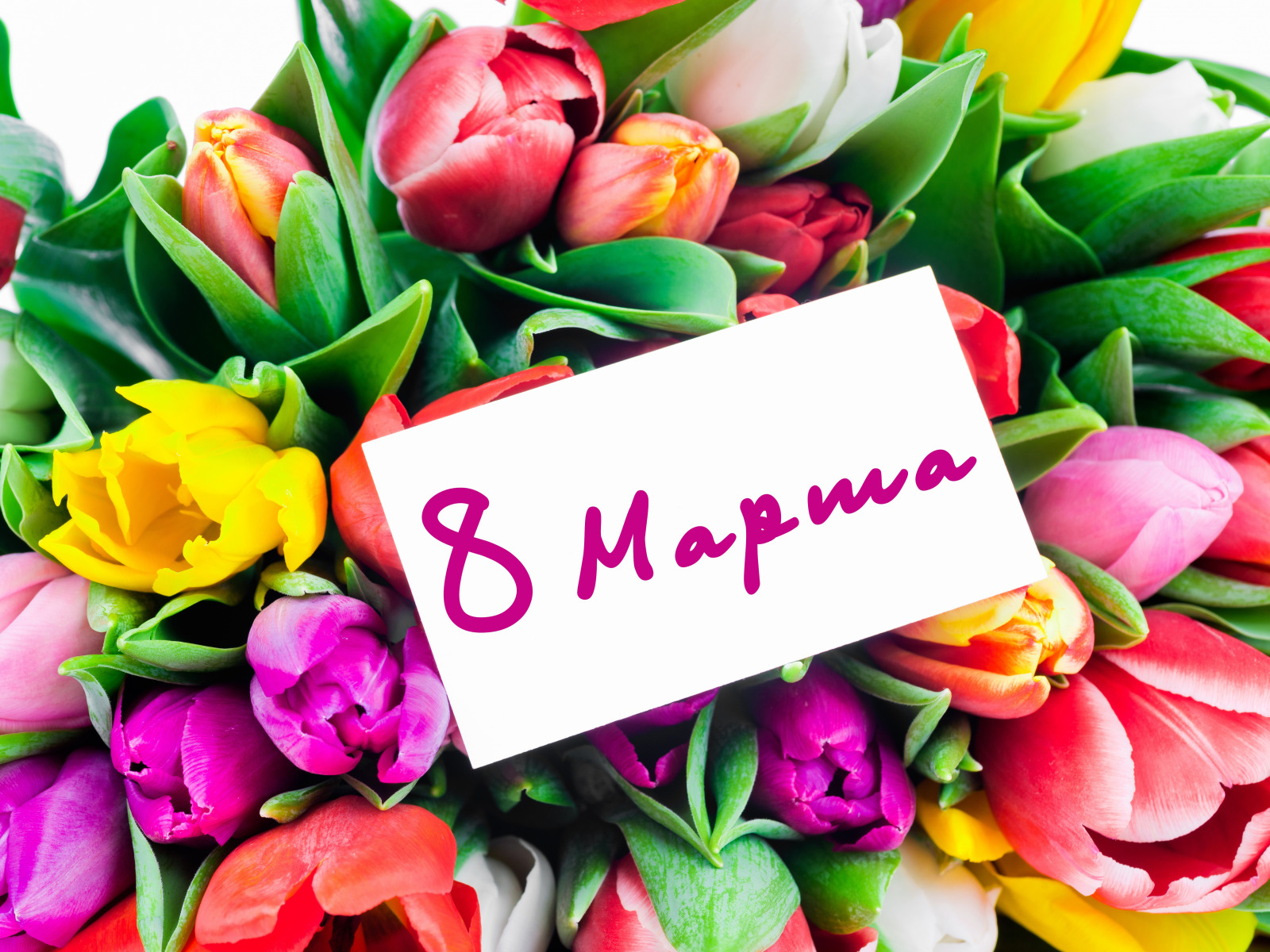 Красивые фото с цветами с 8 марта