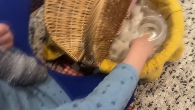 МОЙ БУХГАЛТЕР ЛЖЕТ? НАЧАЛСЯ РЕМОНТ - ПОКАЗЫВАЮ ПРОЕКТ / Влог из Москвы смотреть онлайн