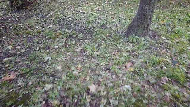 Внезапно смотреть онлайн