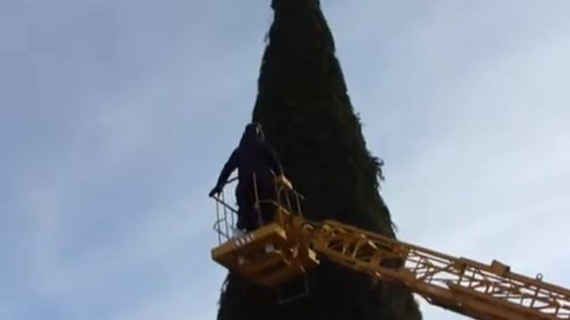 Установка гирлянды на тетюшской елке смотреть онлайн