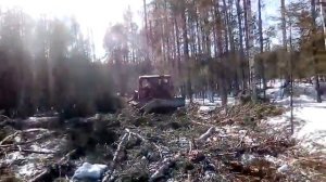 Трелевка леса тт4