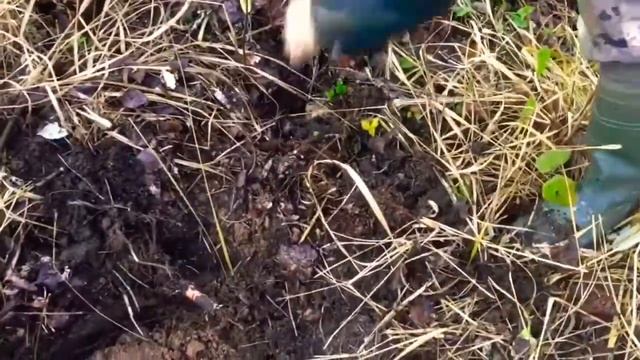 Где можно взять деньги и не отдавать реальный способ. Заработок с первого дня без вложений! смотреть онлайн