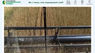 Уборка урожая и подготовка к посевной в Ульяновской области