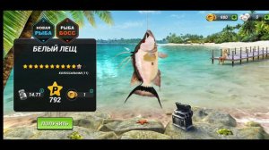 Боссы | Fishing clash | Побережье флориды