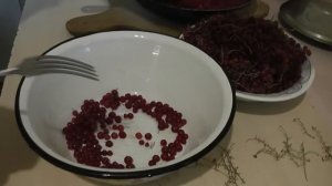 Как быстро отделить смородину от веточек