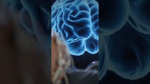 Neuralink начинает чипирование!