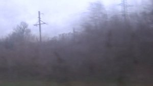 Пригородный автобус 401, участок Яхрома (Стадион) - Шлюз