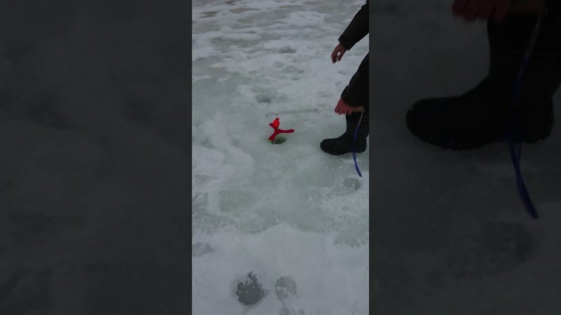 Поимка на резину со дна