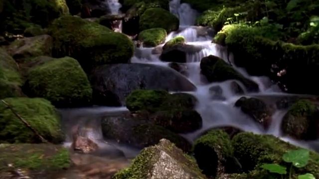 Футаж Природа 8 смотреть онлайн