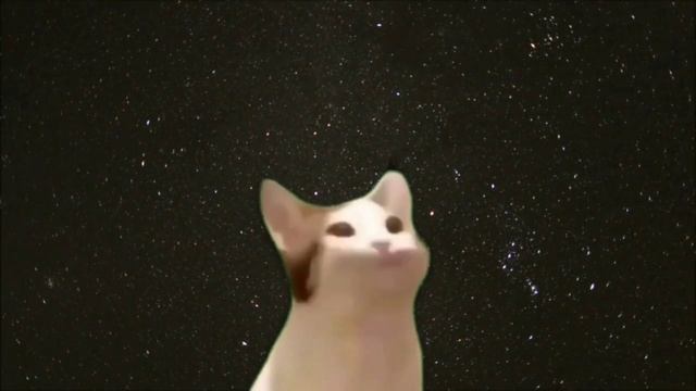 Pop Cat Shooting Stars смотреть онлайн