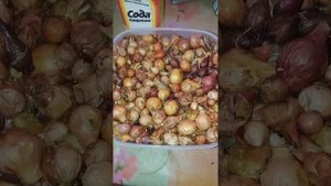 Как посадить лук чтоб был без стрелок