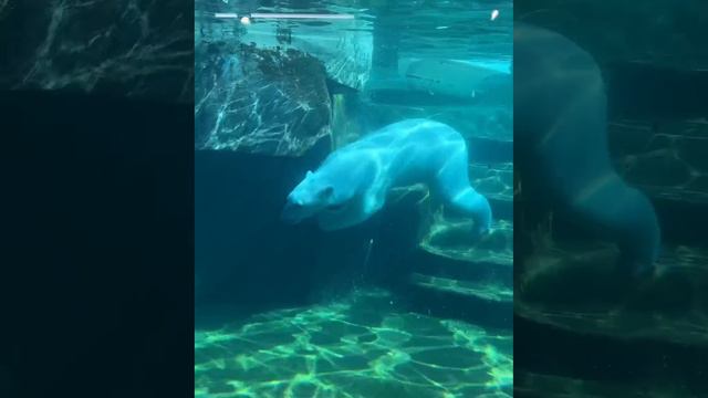 Айка прямо танцует под водой