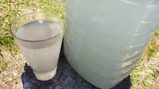 Квас на берëзовом соке с изюмом и мëдом! Полезный и освежающий напиток! #готовлю на даче. смотреть онлайн