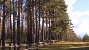 История монастыря Богородице-Сергиева Пустынь