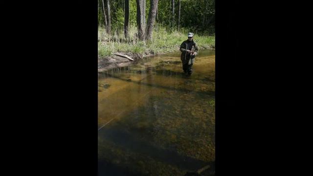 На досуге, для души смотреть онлайн