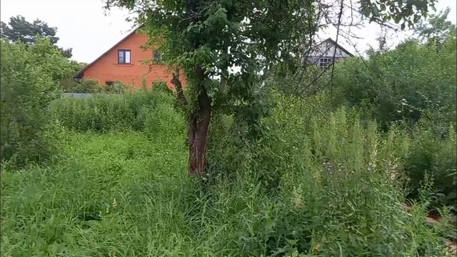 Участок под заказ в Подольске. риэлтор Москва, Чехов, Троицк , Домодедово Видное смотреть онлайн