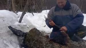 Рыбалка на жерлицы поймал налима