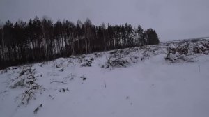 ОХОТА НА ЗАЙЦА 2023!!!!