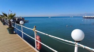 Dolphin, Delphin Imperial Hotel, Antalya Turkey 10/09/2022 - отель Дельфин Империал, Анталья