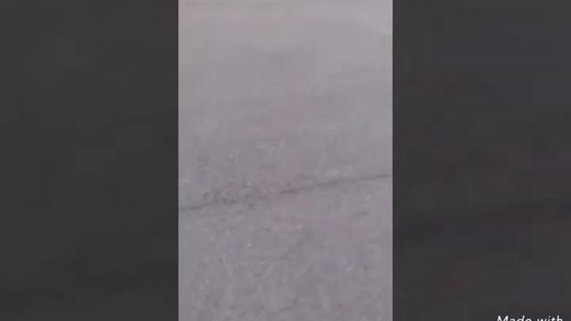 VLOG:"сибирская сказка " не хотелось уезжать всегда буду помнить???? смотреть онлайн