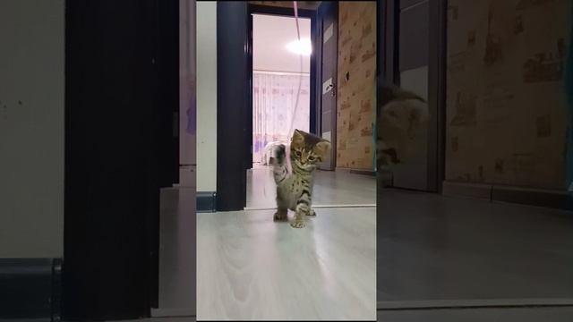 Наш маленький занятный персонаж😁