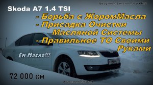 Skoda: ЖорМасла, Тест Присадки Для Очистки, Новое Масло, ТО Своими Руками. Ресурсный Тест (2024)