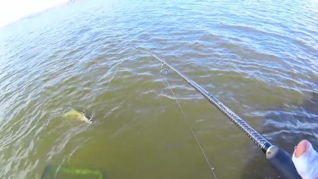 Поролоновая приманка сделала рыбалку. Рыбалка на спиннинг осенью. смотреть онлайн