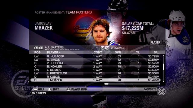 NHL 09 Vitkovice Overall Player Ratings смотреть онлайн