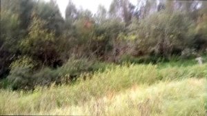 КАМЕРА НА РУЖЬЁ ОХОТА НА ВОРОН И УТКУ