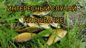 ИНТЕРЕСНЫЙ СЛУЧАЙ НА РЫБАЛКЕ.