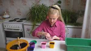 Посев семян в кипяток. Осторожно, невероятные результаты.