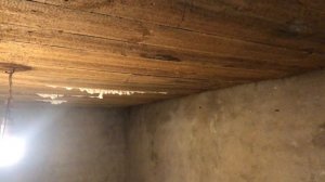 Решили вскрыть пол в старом доме