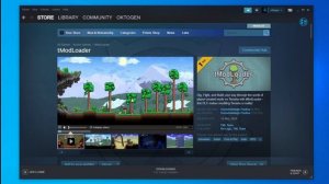 How to Fix Terraria Won't Launch & Crashing Problems