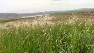 11_05_2019_СТАВРОПОЛЬЕ_СОЛЁНОЕ ОЗЕРО.mp4