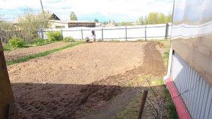 Культивация участка мотоблоком "Ока" c Фрезами "Гусиные Лапки"