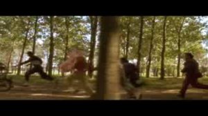 Эмир Кустурица. Чёрная кошка, белый кот