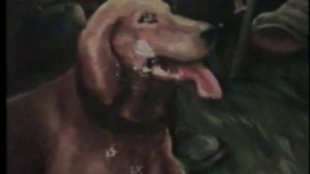 Владимир Глазунов играет на гармони смотреть онлайн