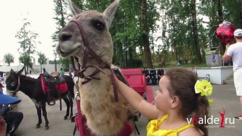 Верхняя Салда отметила День молодёжи и День города