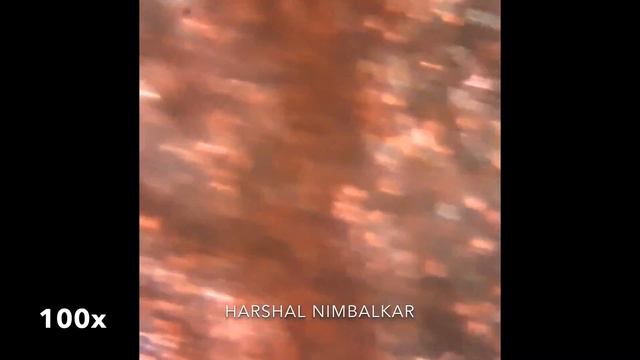 Microscopy of Petals of Hibiscus rosa-sinensis смотреть онлайн